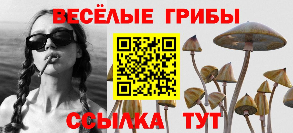 Кемерово  Галлюциногенные грибы мухоморы  Псилоцибиновые грибы Cubensis  Вход с VPN 